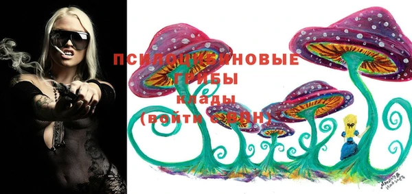 прущие крисы Балахна