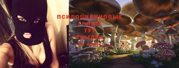 прущие крисы Балахна
